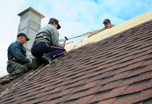Best Gutter Installation and Roofing  in Springfield, VA